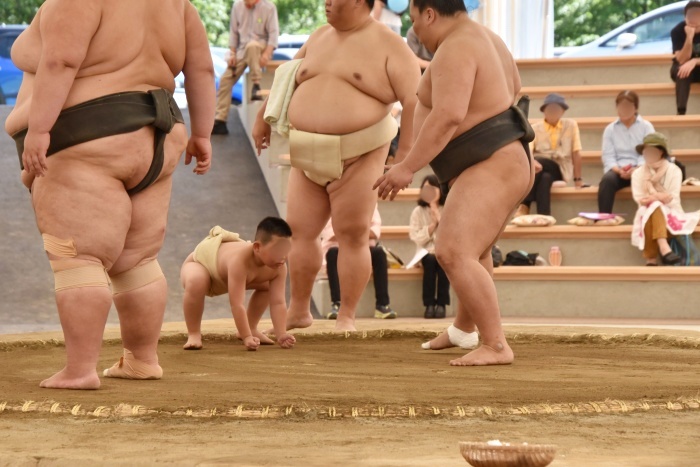 力士の胸を借りる相撲クラブの子